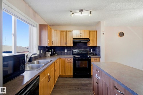 2132 32 Street Nw, Edmonton, AB - Indoor Photo Showing Kitchen With Double Sink