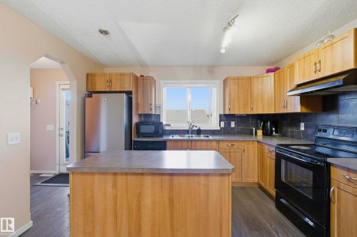 2132 32 Street Nw, Edmonton, AB - Indoor Photo Showing Kitchen With Double Sink