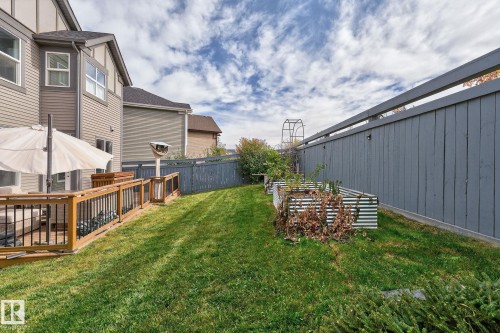 Expansive backyard featuring a wood-finish deck with black spindle railing, manicured lawn, and raised garden beds - 1737 Dumont Crescent, Edmonton, AB - Outdoor