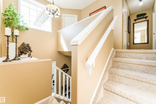 Carpeted staircase with white handrails and balusters - 847 Blacklock Way, Edmonton, AB - Indoor Photo Showing Other Room