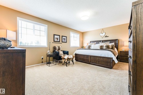 Spacious room featuring neutral carpeting, two large windows with blinds, a ceiling-mounted light fixture, and warm-toned wall finishes - 847 Blacklock Way, Edmonton, AB - Indoor Photo Showing Bedroom