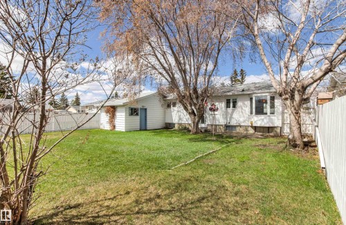 Spacious backyard featuring a manicured lawn, established trees, and white privacy fencing - 29 Bristow Crescent, Spruce Grove, AB - Outdoor