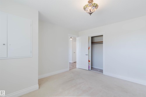 Carpeted room featuring a ceiling-mounted stained glass light fixture, white walls, white baseboards, and a white interior door opening to a closet with a hanging rod - 3752 114 Street, Edmonton, AB - Indoor Photo Showing Other Room
