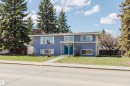 Split-level residence featuring a blue siding exterior and white trim - 3752 114 Street, Edmonton, AB  - Outdoor With Facade 