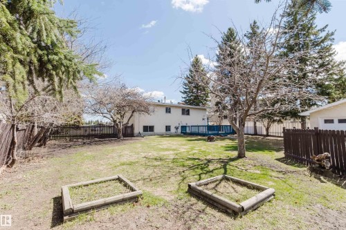 Expansive backyard featuring a large grass area, wood privacy fencing, mature trees, and two raised garden beds - 3752 114 Street, Edmonton, AB - Outdoor