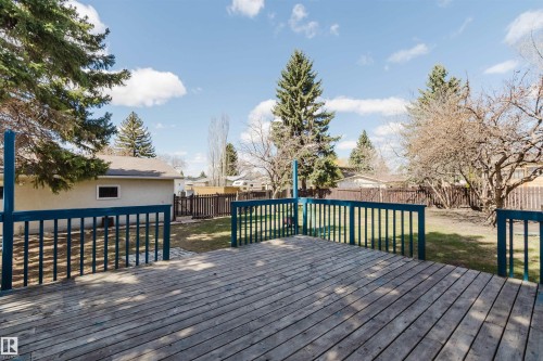 Expansive wood-finish deck with blue railing, overlooking a spacious backyard with mature evergreen trees and established deciduous trees - 3752 114 Street, Edmonton, AB - Outdoor With Deck Patio Veranda
