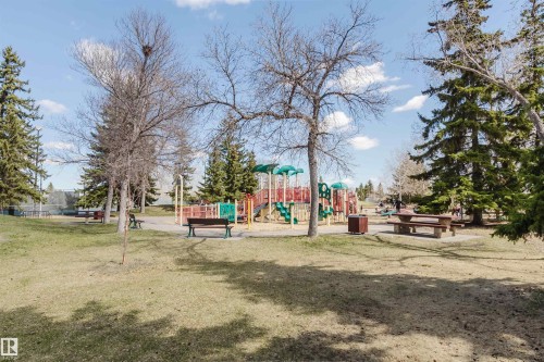Community park featuring a colorful playground structure, multiple picnic tables, and ample green space - 3752 114 Street, Edmonton, AB - Outdoor With View
