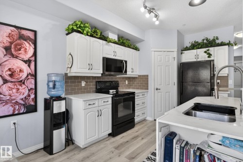 340 612 111 Street, Edmonton, AB - Indoor Photo Showing Kitchen With Double Sink