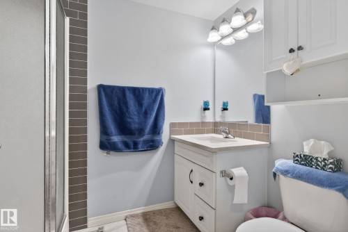 340 612 111 Street, Edmonton, AB - Indoor Photo Showing Bathroom