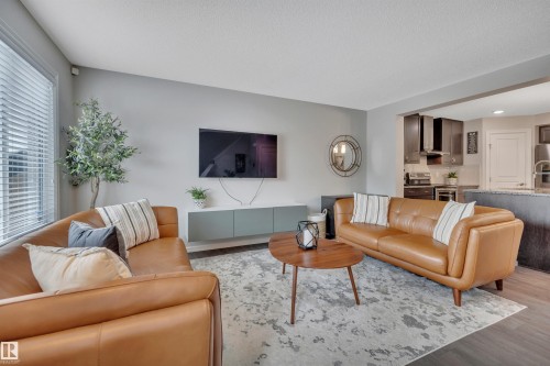 22220 88 Avenue, Edmonton, AB - Indoor Photo Showing Living Room