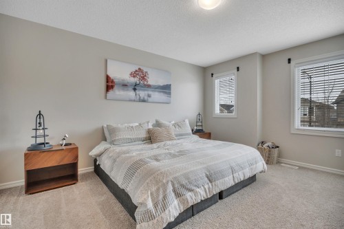22220 88 Avenue, Edmonton, AB - Indoor Photo Showing Bedroom