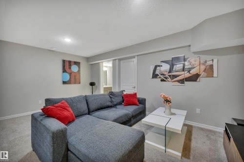 22220 88 Avenue, Edmonton, AB - Indoor Photo Showing Living Room