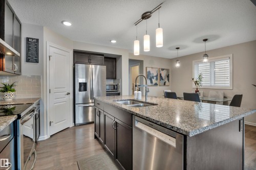 22220 88 Avenue, Edmonton, AB - Indoor Photo Showing Kitchen With Stainless Steel Kitchen With Double Sink With Upgraded Kitchen