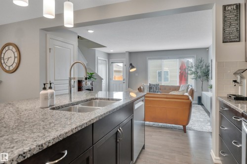 22220 88 Avenue, Edmonton, AB - Indoor Photo Showing Kitchen With Double Sink