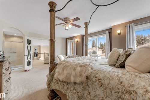 Bedroom featuring carpeted flooring, a ceiling fan, and large windows that provide views of trees - 6002 46 Avenue, Beaumont, AB - Indoor Photo Showing Bedroom