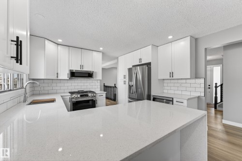 11016 171 Avenue, Edmonton, AB - Indoor Photo Showing Kitchen With Double Sink With Upgraded Kitchen
