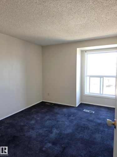 Bright room featuring a large white-framed window, textured ceilings, light-colored walls, dark carpeting, and white baseboards - 304 34 Alpine Place, St. Albert, AB - Indoor Photo Showing Other Room