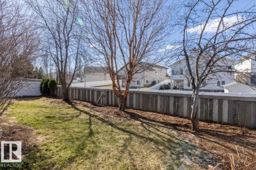 Fenced backyard with established trees, a green lawn, and a side gate - 7719 166 Avenue, Edmonton, AB - Outdoor