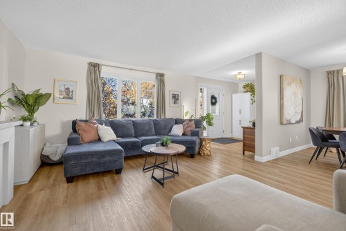 8705 92A Avenue, Edmonton, AB - Indoor Photo Showing Living Room