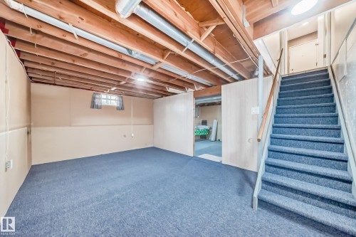 10226 152 Street, Edmonton, AB - Indoor Photo Showing Basement