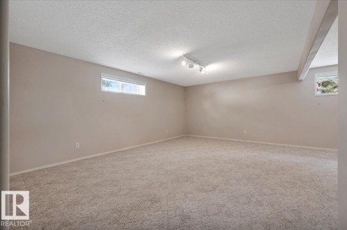in the basement - 19 1203 Carter Crest Road, Edmonton, AB - Indoor