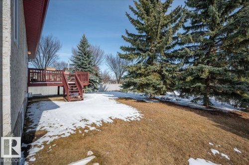 The property features an outdoor deck with stairs leading to a spacious backyard common area with mature evergreen trees - 19 1203 Carter Crest Road, Edmonton, AB - Outdoor