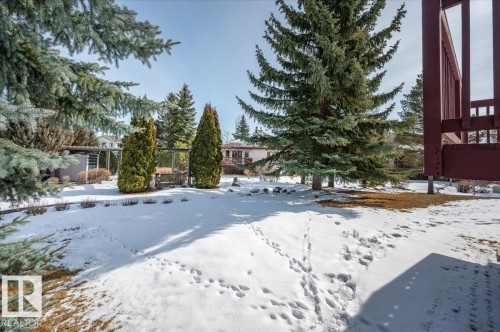 with mature evergreen trees. - 19 1203 Carter Crest Road, Edmonton, AB - Outdoor With View