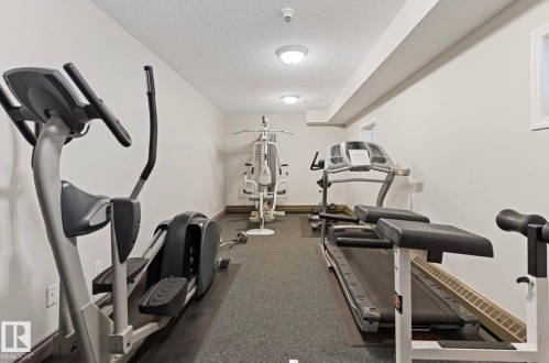 Dedicated fitness room featuring textured carpet flooring, white painted walls, and ceiling-mounted flush lighting fixtures - 103 12110 119 Ave, Edmonton, AB - Indoor Photo Showing Gym Room