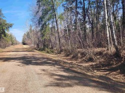 Township Road 575 and Range Road 173 Rural Lamont County, AB T0B 4B0