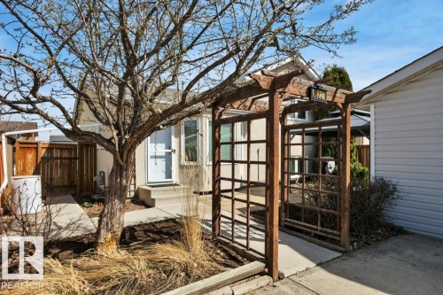 Entryway featuring a decorative wooden arbor and a mature tree - 18227 76 Avenue, Edmonton, AB - Outdoor