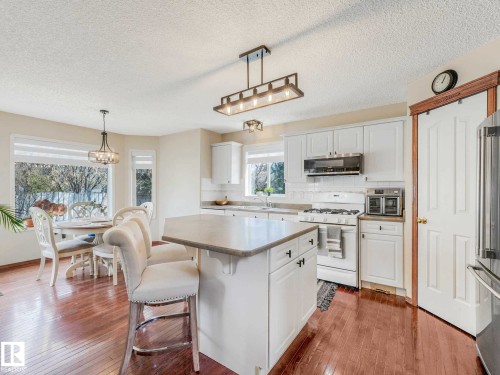 18508 50 Avenue, Edmonton, AB - Indoor Photo Showing Kitchen With Double Sink