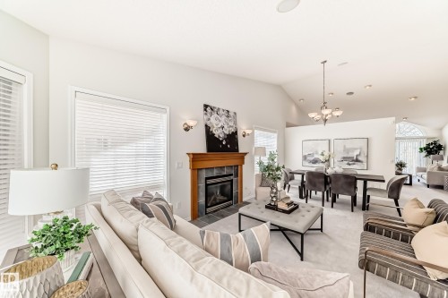 38 920 119 Street, Edmonton, AB - Indoor Photo Showing Living Room With Fireplace