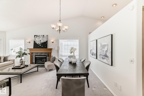 38 920 119 Street, Edmonton, AB - Indoor Photo Showing Living Room With Fireplace