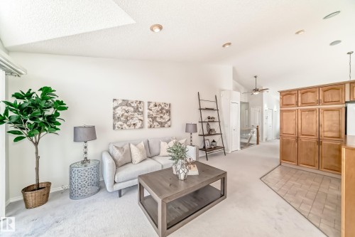 38 920 119 Street, Edmonton, AB - Indoor Photo Showing Living Room