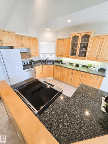 38 920 119 Street, Edmonton, AB - Indoor Photo Showing Kitchen With Double Sink