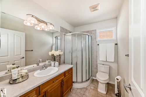 38 920 119 Street, Edmonton, AB - Indoor Photo Showing Bathroom