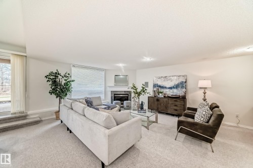 38 920 119 Street, Edmonton, AB - Indoor Photo Showing Living Room With Fireplace