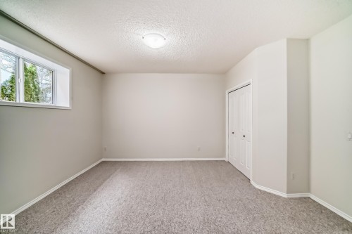 38 920 119 Street, Edmonton, AB - Indoor Photo Showing Other Room