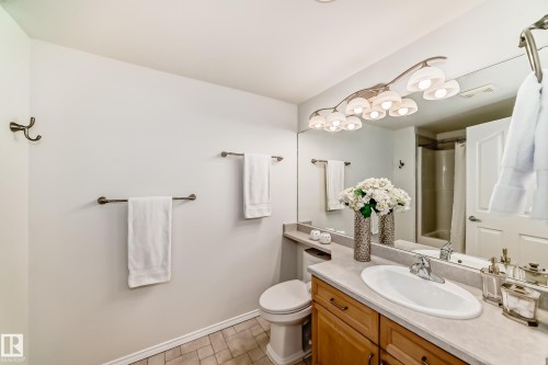 38 920 119 Street, Edmonton, AB - Indoor Photo Showing Bathroom