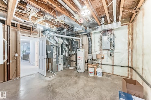 38 920 119 Street, Edmonton, AB - Indoor Photo Showing Basement