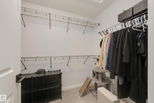 19620 27 Avenue, Edmonton, AB - Indoor With Storage