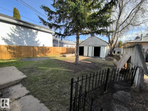 Expansive backyard featuring a central evergreen tree, a detached storage shed with double entry, a wood privacy fence, and a concrete patio section - 10815 68 Avenue, Edmonton, AB - Outdoor
