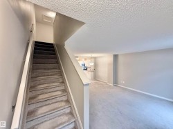 Carpeted staircase with a white handrail - 
