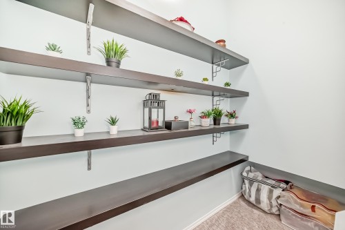 10711A 95 Street, Edmonton, AB - Indoor Photo Showing Other Room