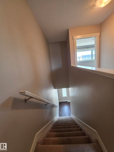 Carpeted staircase with a white wall-mounted handrail and neutral-toned walls - 295 401 Southfork, Leduc, AB - Indoor Photo Showing Other Room