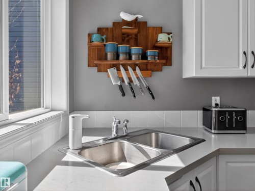 5576 Stevens Crescent Nw, Edmonton, AB - Indoor Photo Showing Kitchen With Double Sink