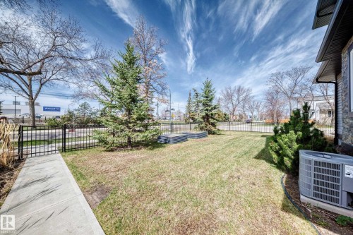 Expansive grassy yard area with mature evergreen trees and a black metal fence - 10519 114 Avenue, Edmonton, AB - Outdoor