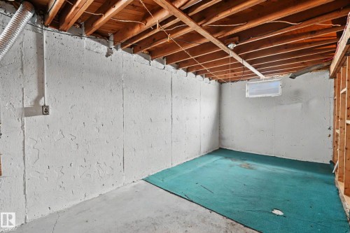13041 82 Street, Edmonton, AB - Indoor Photo Showing Basement