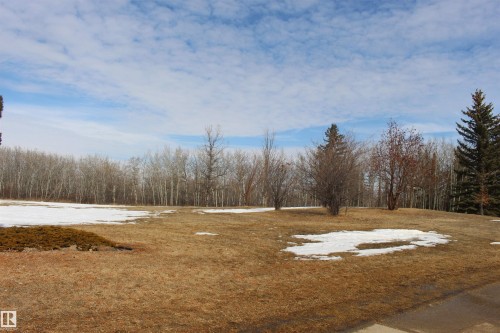 The property offers an expansive outdoor area with a large lawn and mature trees - Edmonton, AB - Outdoor With View