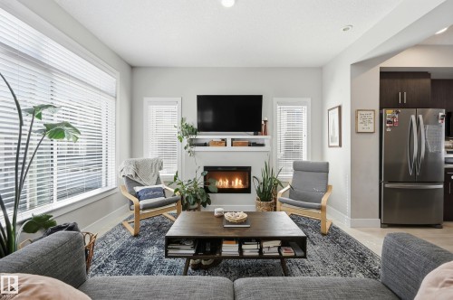 24 215 Saddleback Road, Edmonton, AB - Indoor Photo Showing Living Room With Fireplace